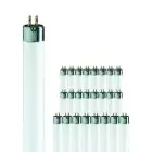 Mehrfachpackung 25x Philips T5 Short 8W - 640 Kaltweiß | 29cm
