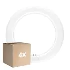 Mehrfachpackung 4x Ledvance LED Röhre T9 Value Rund (EM/Mains) 11W 1320lm - 840 Kaltweiß | Ersatz Für 22W