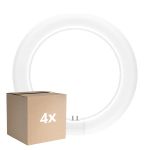 Lot 4x Ledvance Tube LED T9 Value Circulaire (EM/Direct 230V) 11W 1320lm - 840 Blanc Froid | Équivalent 22W