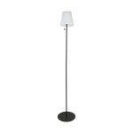 Eglo Lampadaires Salon Scordiano-L Acier Noir 2W 220lm - 830-840-865 CCT | IP44 - USB-C