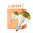 Osram Classic LED E14 Boule Filament Claire 4W 380lm - 827 Blanc Très Chaud | Équivalent 34W