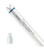 Philips Tube LED T8 MASTER (EM/Direct 230V) High Output 12.5W 2100lm - 865 Lumière Du Jour | 120cm - Équivalent 36W