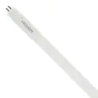 Noxion Avant LEDtube T5 Avant Extreme (Direct 230V) High Efficiency 7W 1100lm - 840 Blanc Froid | 55cm - Équivalent 14W